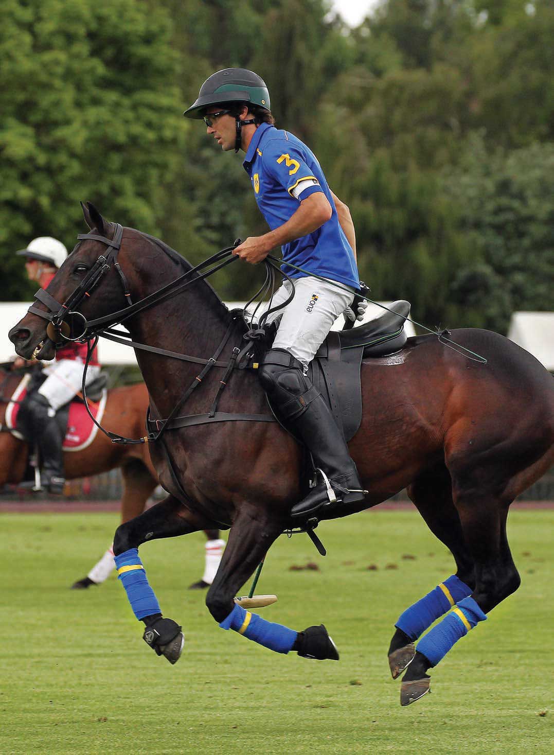 Machitos Mesquite - Hilario Ulloa’s sleek Machitos Mesquite will be back playing in the Gauntlet this year. The 14-year-old stallion has played extensively in Argentina, the U.S. and England, winning several Best Playing Pony awards in the U.S. and England.