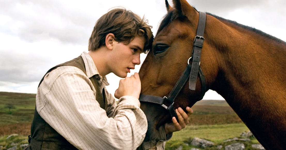 WAR HORSE