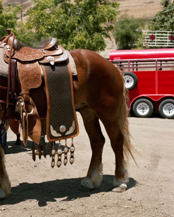 Equine Info Exchange - Capturing the Vibrant Culture of Black Cowboys