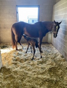 Blanche – Photo courtesy of Margaret Ransom