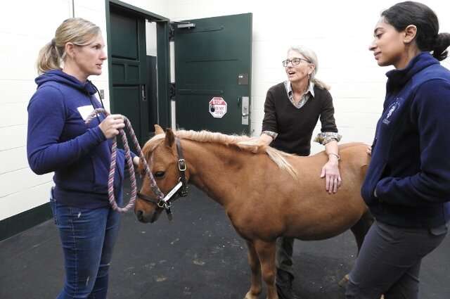  From left, Sara Smith discusses Pixie’s asthma with Cummings School veterinarian Melissa Mazan, V93, and veterinary student Ananya Mahalingam-Dhingra, V22. Credit: Genevieve Rajewski