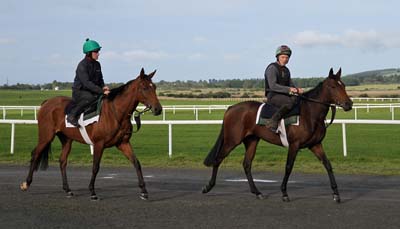 Curragh, Ireland