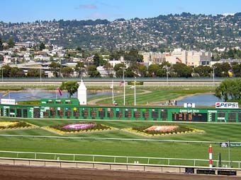 Golden Gate Fields