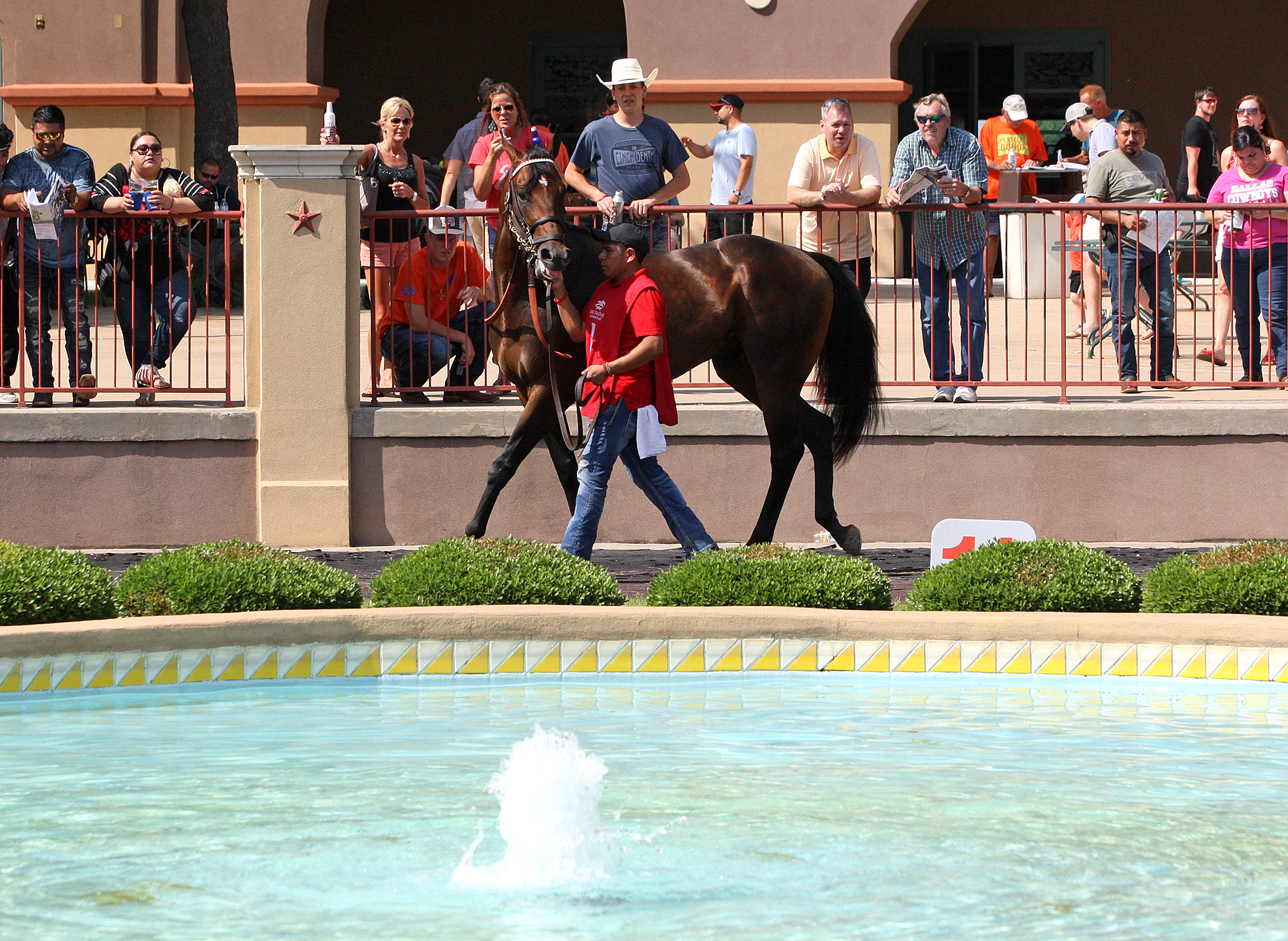 Lone Star Park (photo: Emily Shields)