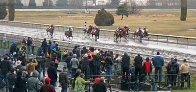 Portland Meadows