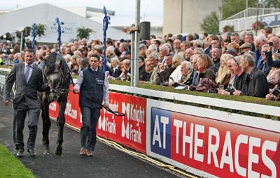 Roaring Lion at Leopardstown, Ireland