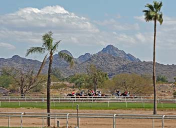 Turf Paradise in Phoenix