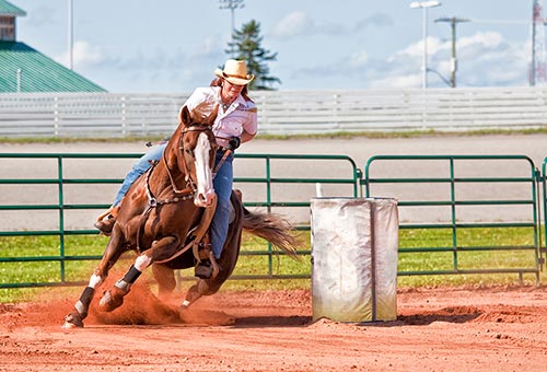 Equine Info Exchange