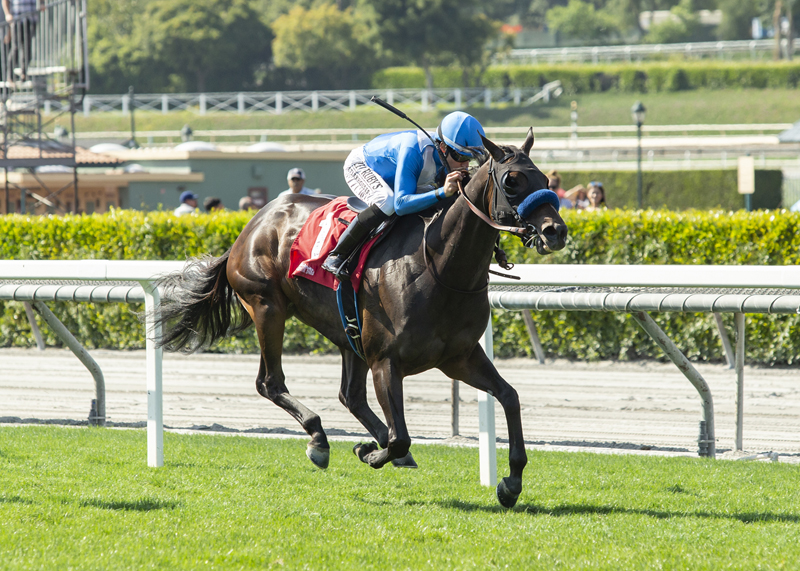 Cordiality and jockey Joseph Talamo win the 2019 Fran’s Valentine S. at Santa Anita | Benoit photo