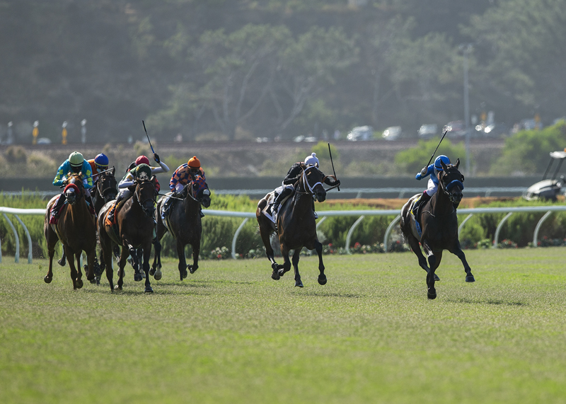 Crevier’s Cordiality wins the Osunitas Stakes July 12, 2020 at Del Mar | Benoit Photo