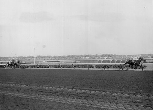 Damascus dominates the 1967 Woodward Stakes. (Mike Sirico)