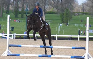 Zenyatta's son Cozmic One is among the retired racehorses Isabela De Sousa is retraining. (Courtesy Isabela De Sousa/photographer Libby Janson)