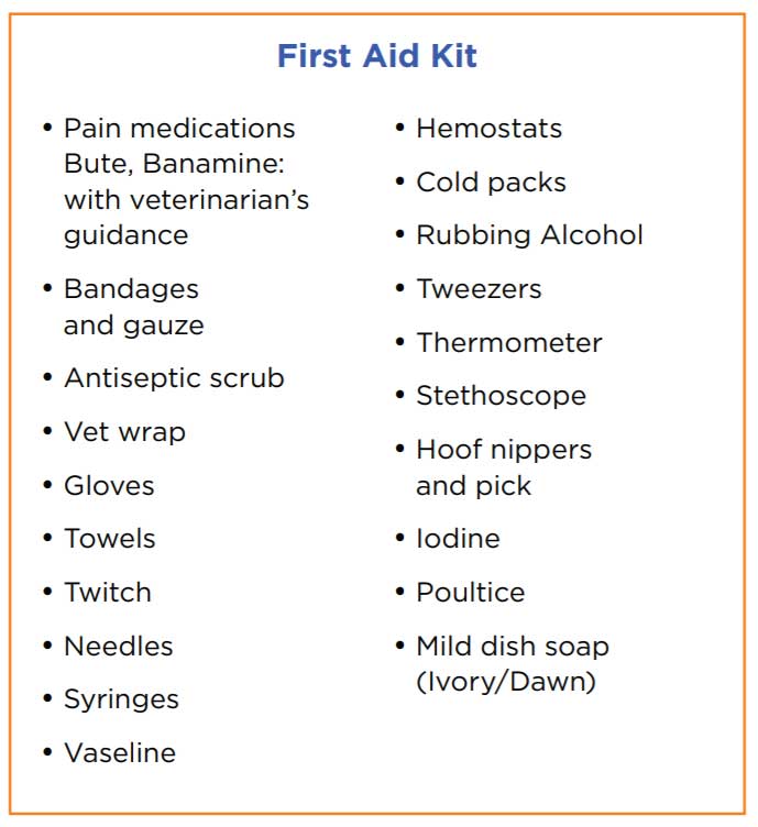 First Aid Kit