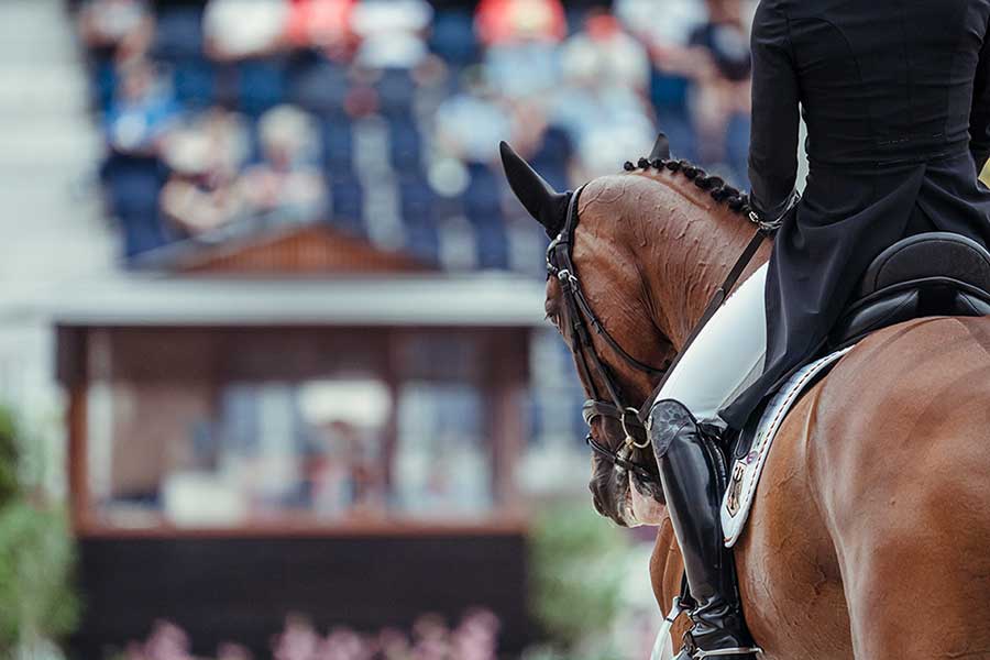 Tokyo Olympic Equestrian Competition (CREDIT--FEI-CHRISTOPHE-TANIERE)