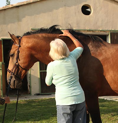 Dressage with Mind, Body & Soul and used by permission of the publisher.