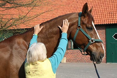 Dressage with Mind, Body & Soul and used by permission of the publisher.