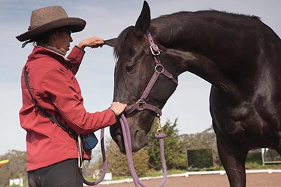 Dressage with Mind, Body & Soul and used by permission of the publisher.