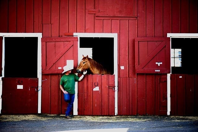 Study Suggests An ‘Emotional Transfer’ Between Humans & Horses