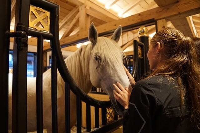 Study Suggests An ‘Emotional Transfer’ Between Humans & Horses