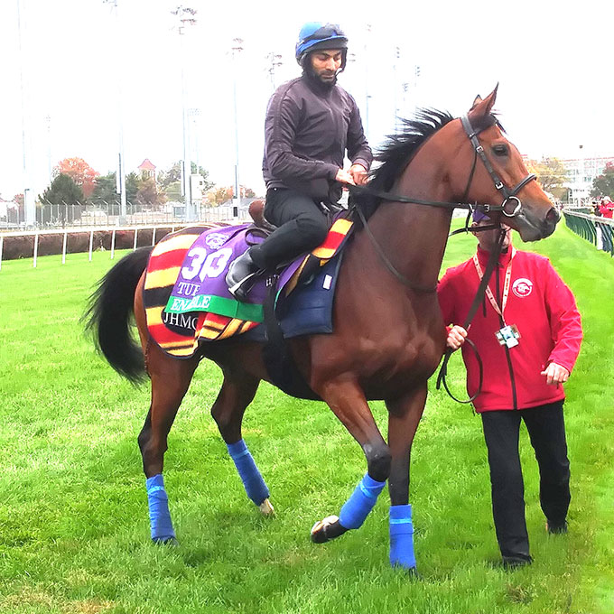 Enable (photo credit CL Cimino)