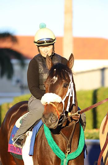 (Penelope P. Miller/America's Best Racing)