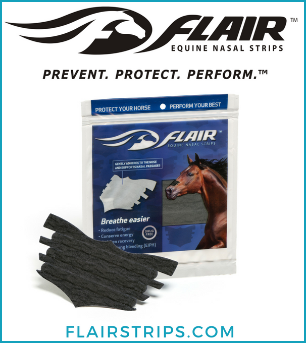 FLAIR® Equine Nasal Strips