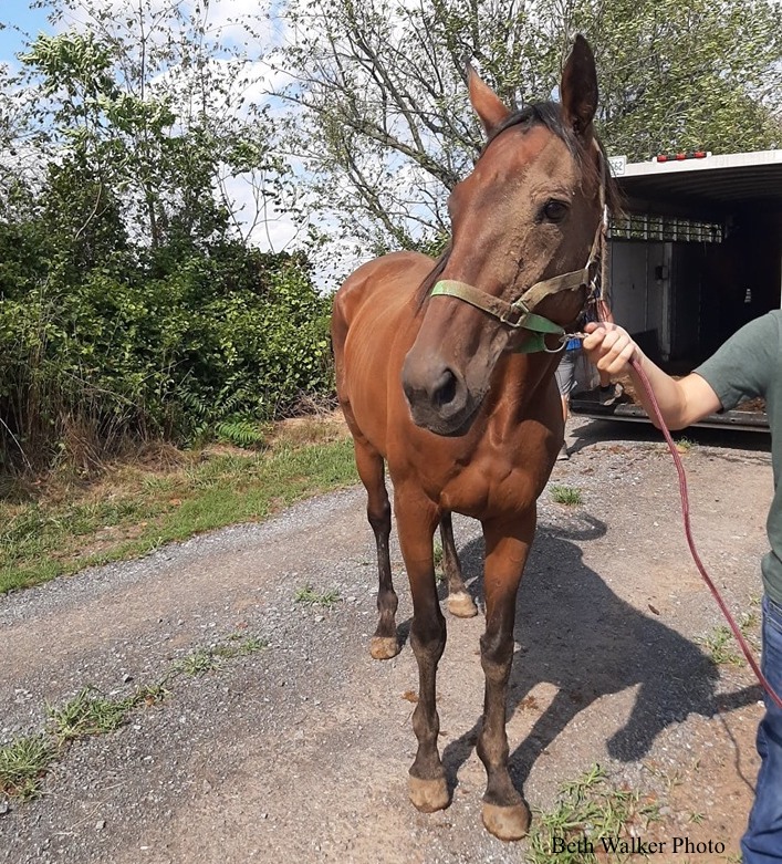 Canora after her rescue