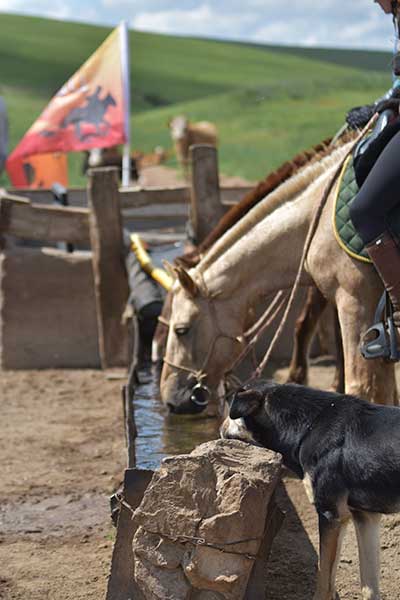 Multiple checkpoints are set throughout the course for horses and riders. © Gobi Desert Cup