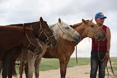 Gobi Gallup 2018