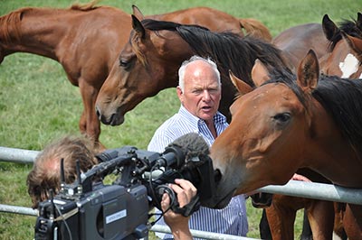 Wiepke van de Lageweg, Breeder