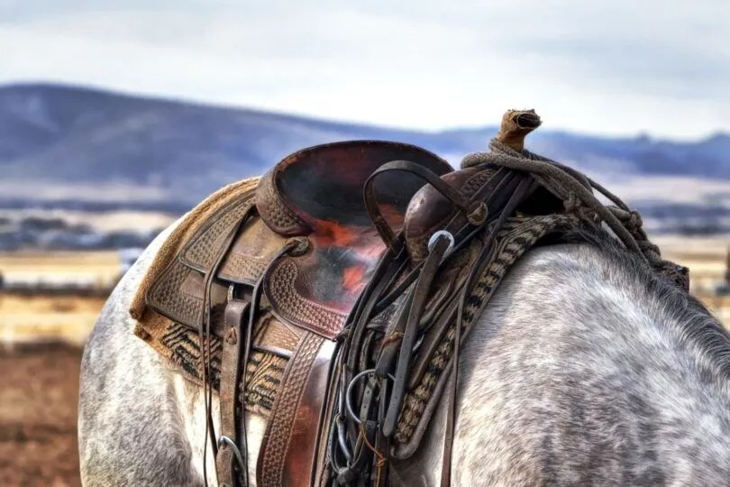 Ranch saddle on horse with mountains in background Source: Canva