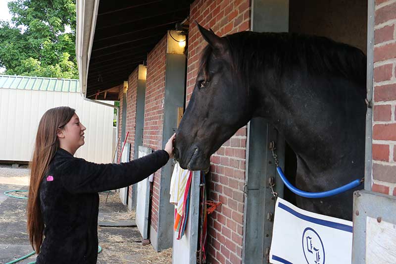 Harley visiting with a friend. (Julie June Stewart photo)