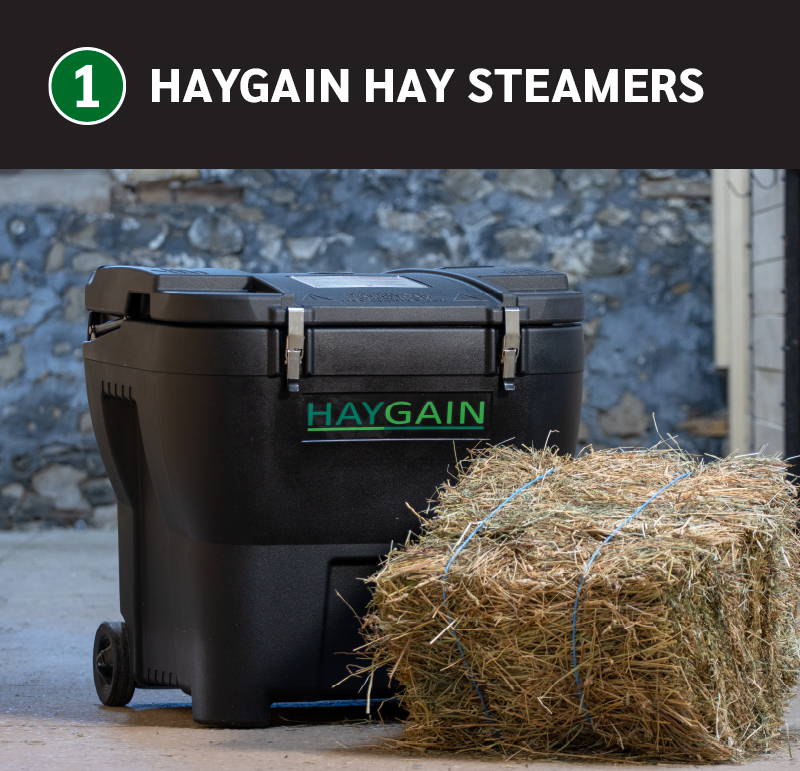 Haygain Hay Steamer