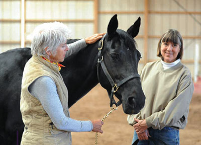 How Myofascial Bodywork Helps Horses by Margret Henkels 