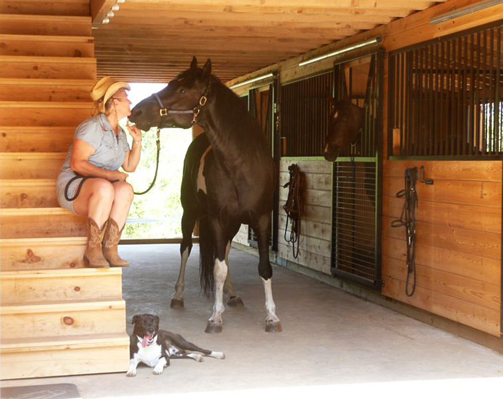 Horizon Structures - Horse Barns