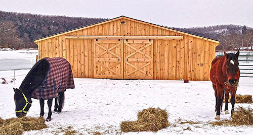 36x52 Low Profile Barn: (4)12x14 Stalls, (2) 12x12 Stalls, Wash Bay & Tack Room