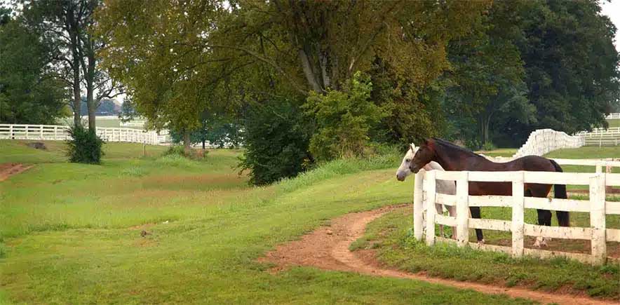 Horizon Structures Horse Barn Fencing