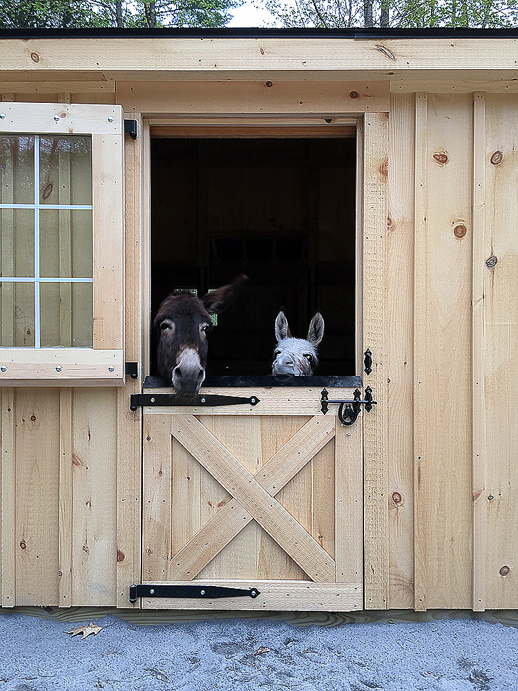 Modified Dutch Door