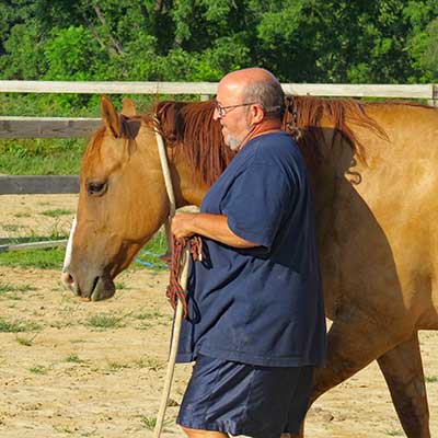 The Horse Cure, Horse and Rider Books