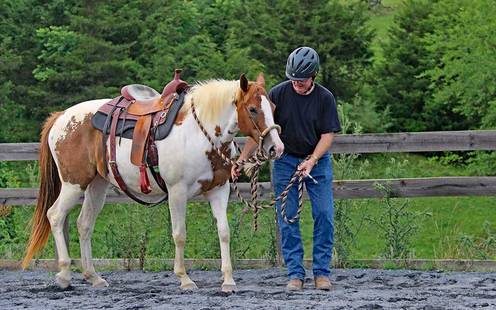 The Horse Cure, Horse and Rider Books