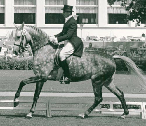 Josef Neckermann and Antoinette in Bad Harzburg, 1964