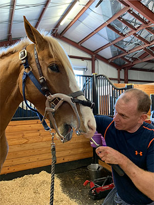 A horse having his teeth floated. USEA/Leslie Mintz Photo.