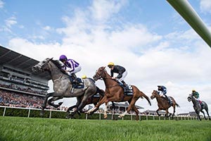 Credit: Curragh Racecourse via Twitter