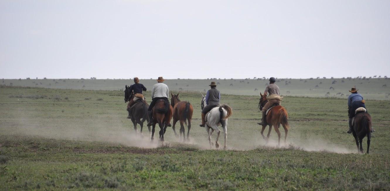 Serengeti Migration ride, Tanzania