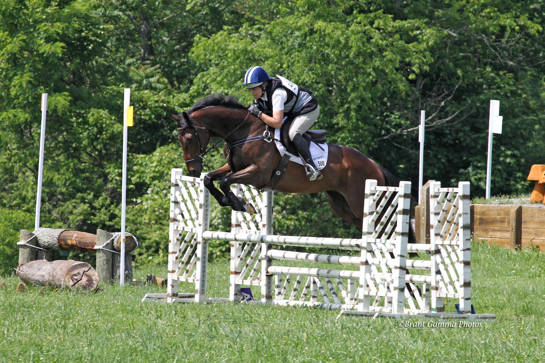 OTTB Parker's Choice (Courtesy Xpress Foto/Joanie Morris)