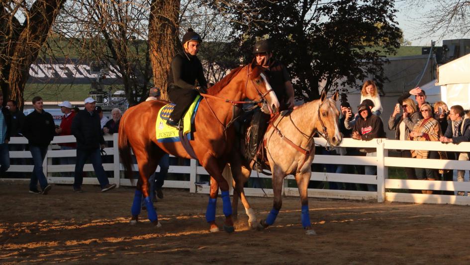 Kentucky Derby and Preakness Stakes winner Justify towers over stable pony Sunny at Churchill Downs. (Julie June Stewart photo)