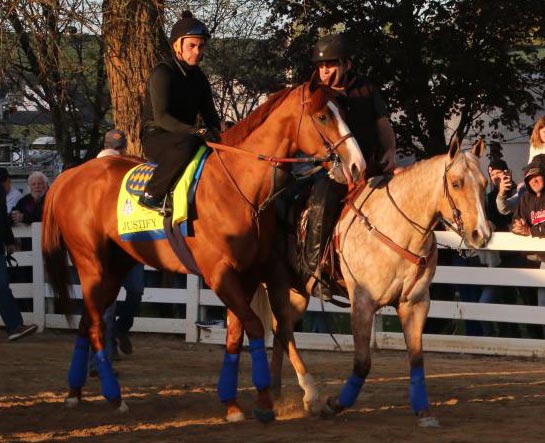Kentucky Derby and Preakness Stakes winner Justify towers over stable pony Sunny at Churchill Downs. (Julie June Stewart photo)