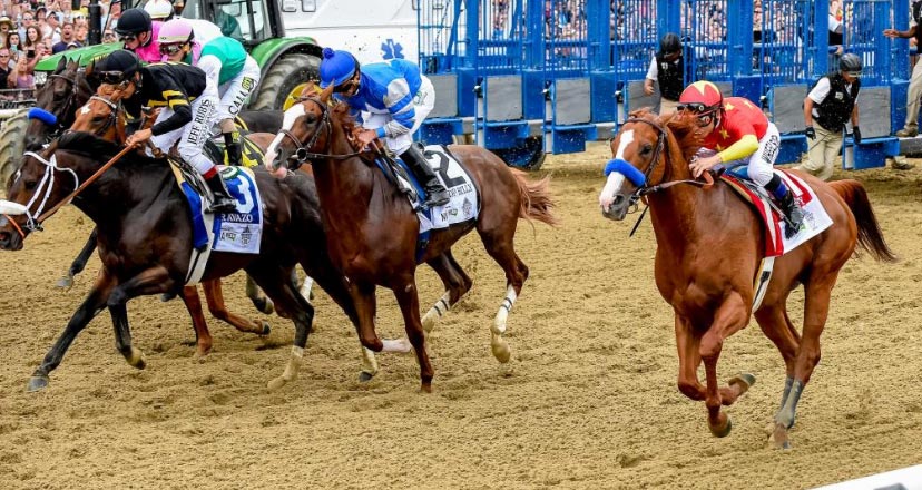 Horses after leaving the Belmont Starting gate. (Eclipse Sportswire)