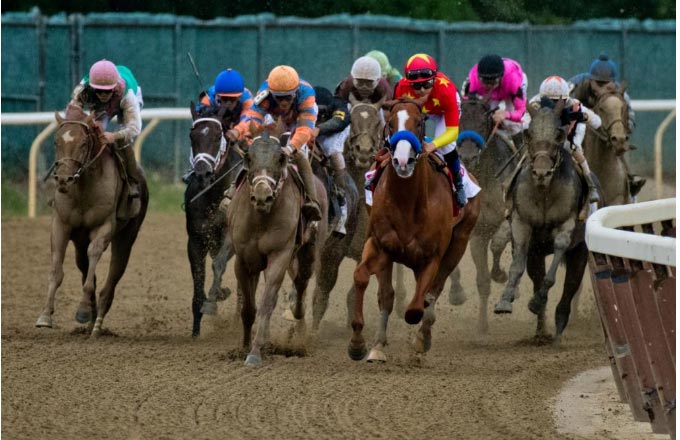 Justify leads leaving the final turn. (Eclipse Sportswire)