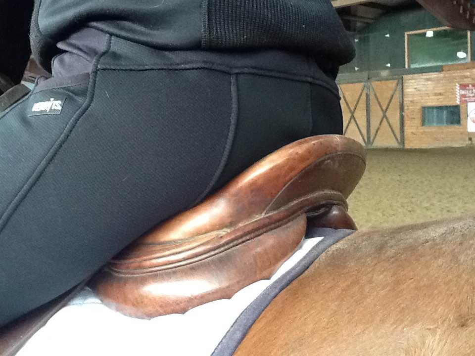 Kerrit's Performance Equestrian Apparel